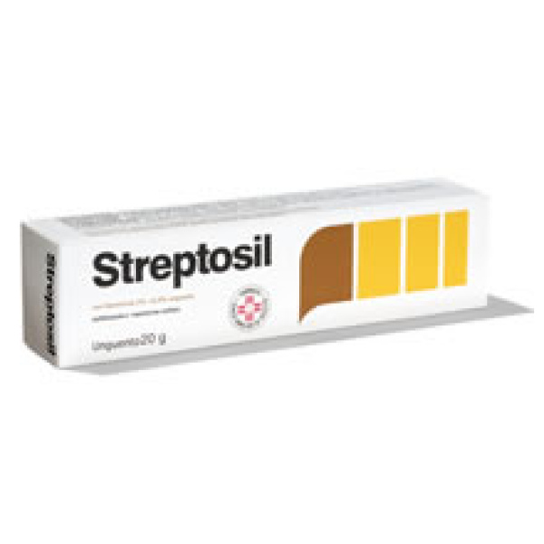 STREPTOSIL NEOMICINA*UNG 20G CHEPLAPHARM ARZNEIMITTEL GMBH