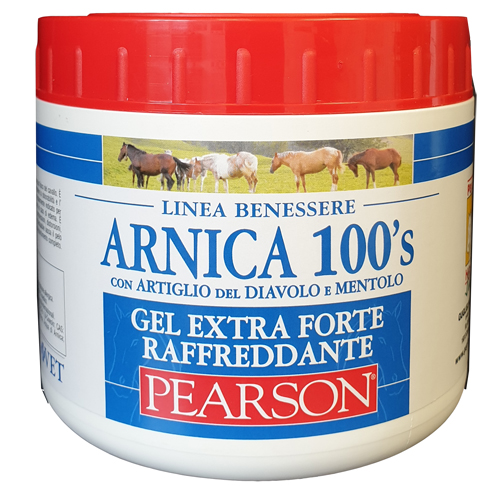 ARNICA 100'S GEL EXTRA FORTE RAFFREDDANTE 500 ML GUGLIELMO PEARSON Srl
