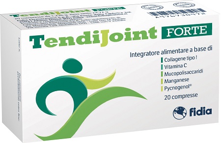 TENDIJOINT FORTE 20 COMPRESSE FIDIA FARMACEUTICI SpA